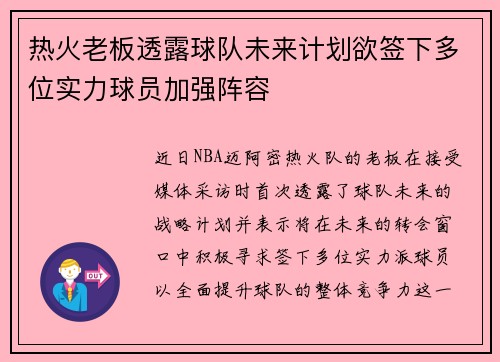 热火老板透露球队未来计划欲签下多位实力球员加强阵容